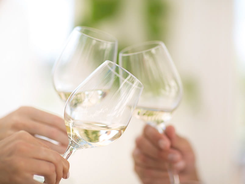 People toasting with white wine in glasses